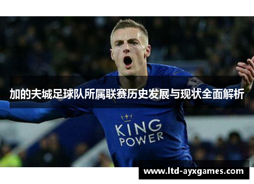 加的夫城足球队所属联赛历史发展与现状全面解析