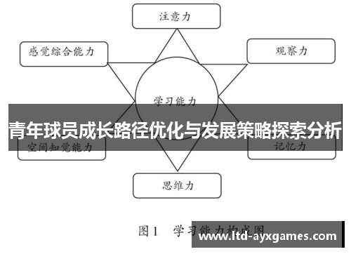 青年球员成长路径优化与发展策略探索分析