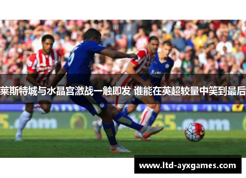 莱斯特城与水晶宫激战一触即发 谁能在英超较量中笑到最后