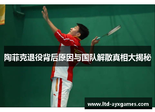 陶菲克退役背后原因与国队解散真相大揭秘