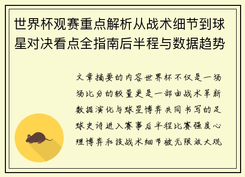 世界杯观赛重点解析从战术细节到球星对决看点全指南后半程与数据趋势